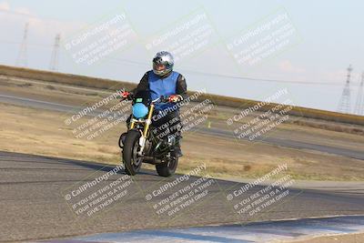 media/Nov-06-2023-Lets Ride (Mon) [[98fce14742]]/C Group/240pm (Wheelie Bump)/